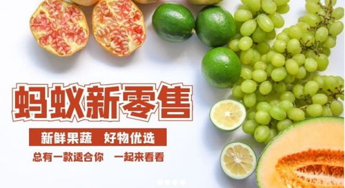 螞蟻新零售 依托精準扶貧打造中國農副產品電子商務新業態