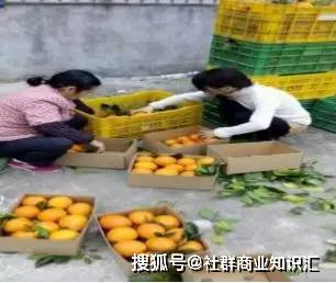 你不知道的農(nóng)副產(chǎn)品快速銷售方法揭秘