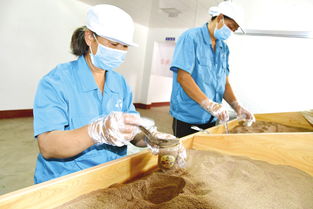 堅定信心迎難而上，以食品銷售為支點決戰決勝脫貧攻堅