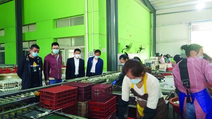 大冶市畜牧獸醫局 當好“服務員”，助力涉牧企業復產增效，保障食品銷售安全順暢